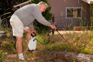 man applying roundup to his yard