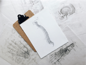 Image of a spine on a clipboard symbolizing delayed pain after a car accident.